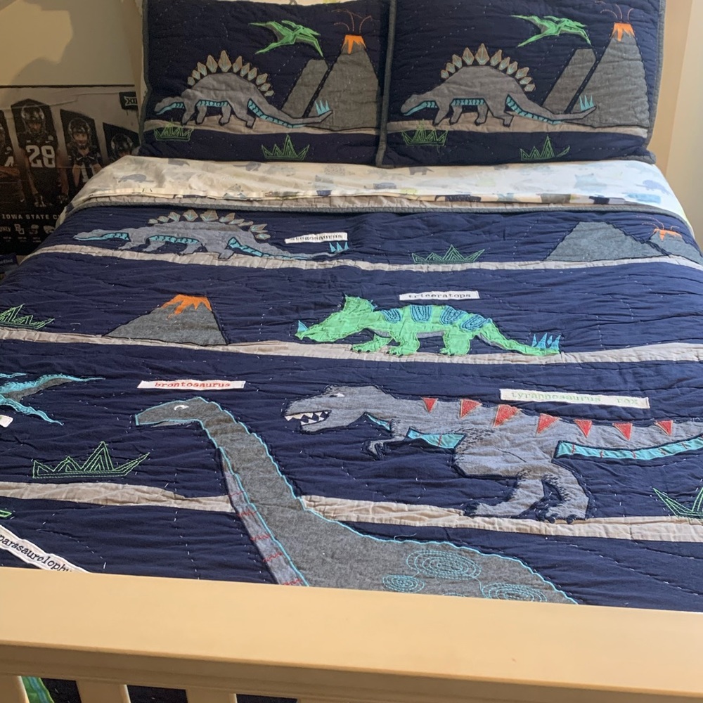 Pottery Barn Dinosaur Bedding set queen/full